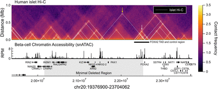 Figure 2: