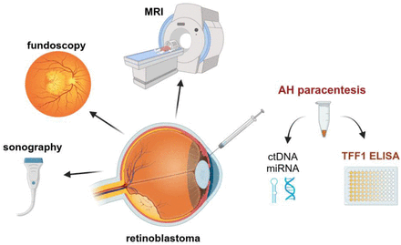 Figure 6.