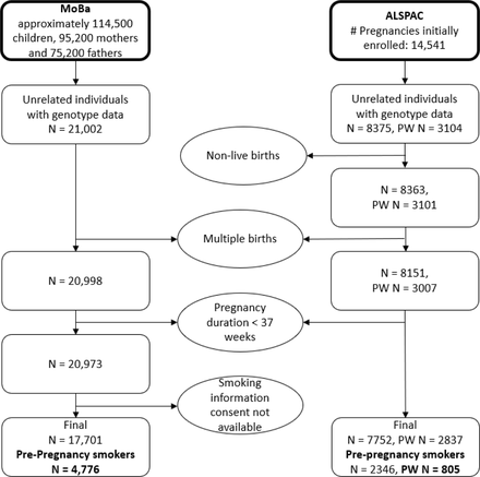 Figure 2: