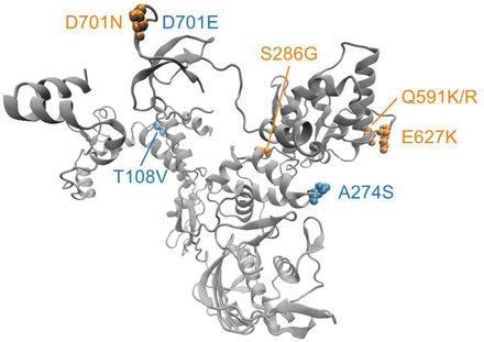 Fig. 5.