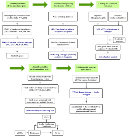 Figure 1.