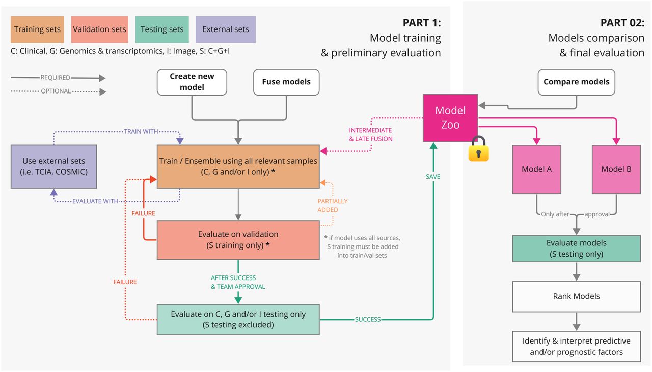 Multi-omics investigation on the prognostic and predictive factors