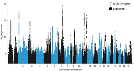 Figure 2: