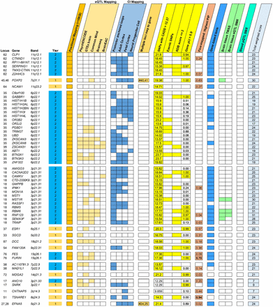 Figure 4: