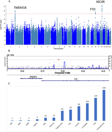 Figure 1: