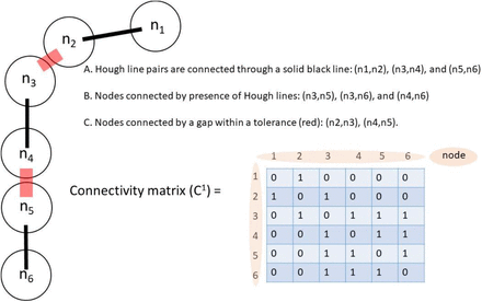 Supplementary Figure 6.