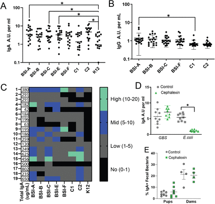 Figure 4: