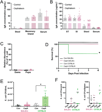 Figure 5: