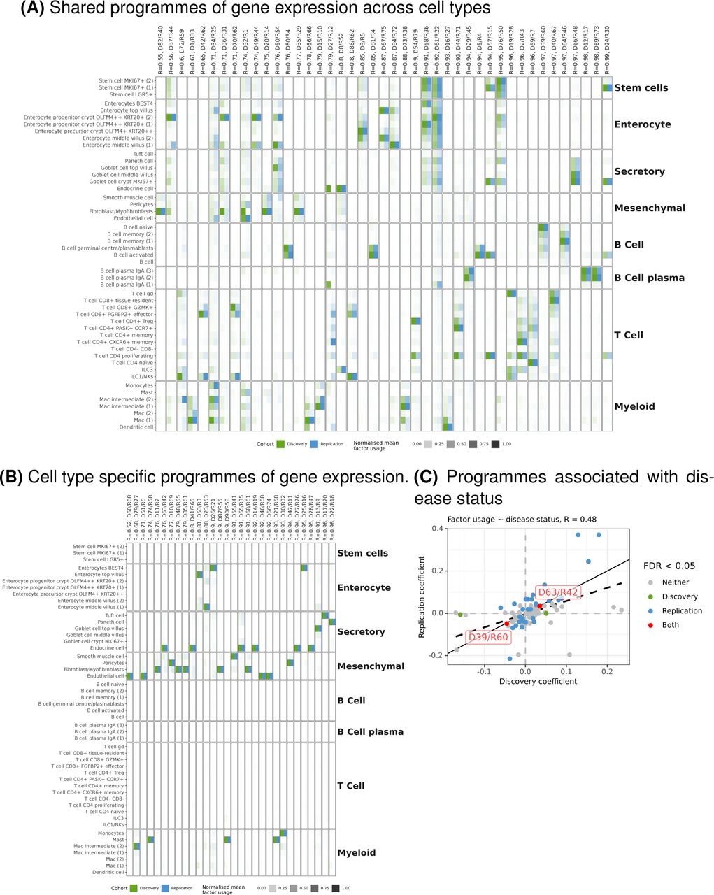 Single-cell RNA sequencing reveals dysregulated cellular