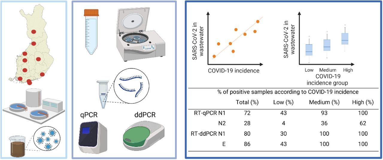 Comparison Of Different Pcr Methods For The Detection Of Sars-cov-2 Rna 