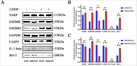 Figure 4: