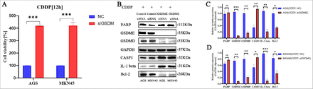 Figure 9: