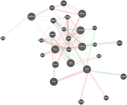 Supplementary Figure 5.