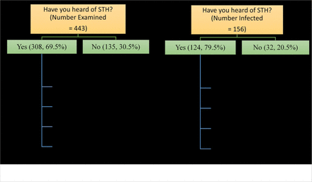 Fig. 2: