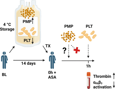 Graphical Abstract 1: