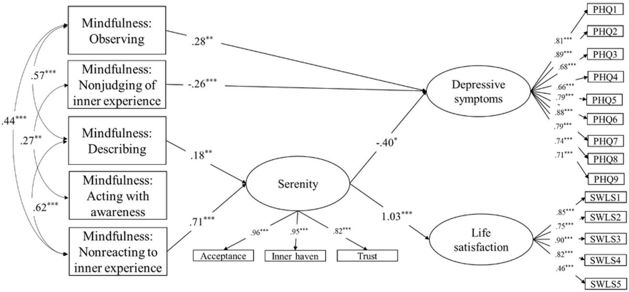 Mindfulness facets and psychological well being among meditators