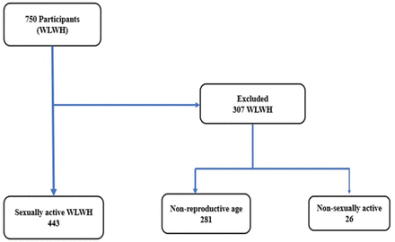 Figure 1: