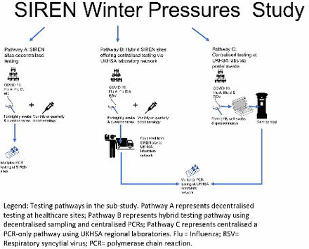 Figure 2: