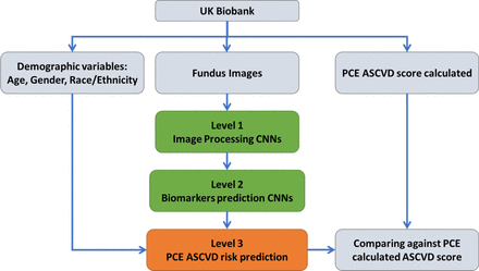 Figure 1: