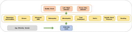 Figure 1: