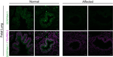 Figure 5: