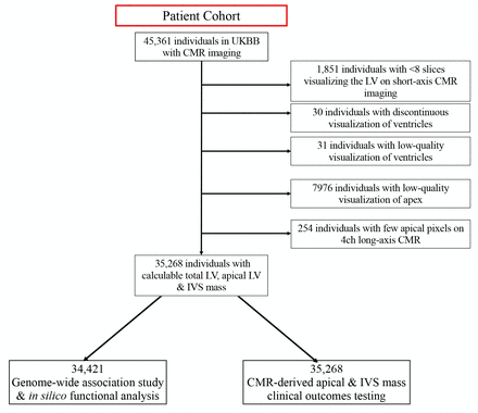 Supplementary Figure 1.