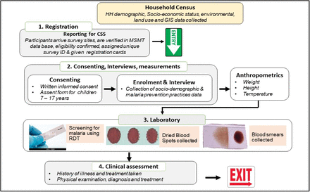 Figure 2: