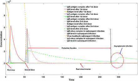 Figure 6a: