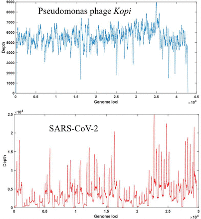 Figure 2a