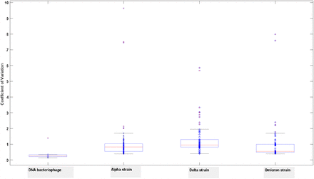 Figure 2b