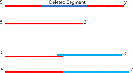 Figure 3a