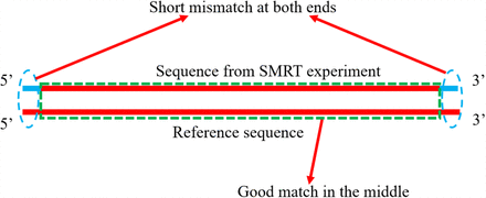 Figure 4a