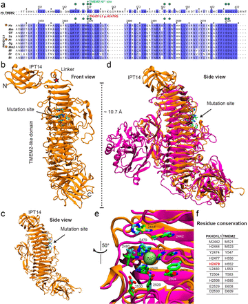 Fig. 3.