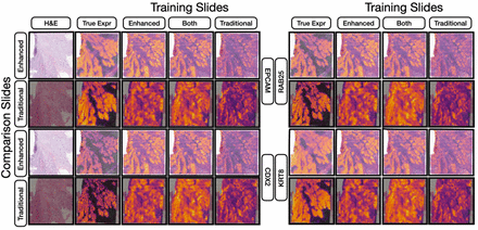 Figure 4: