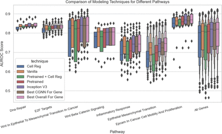 Supplementary Figure 4: