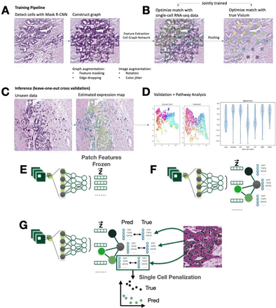 Figure 2: