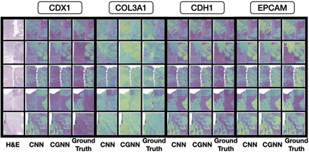 Figure 4: