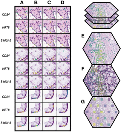 Figure 5: