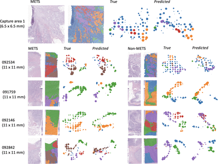 Figure 6: