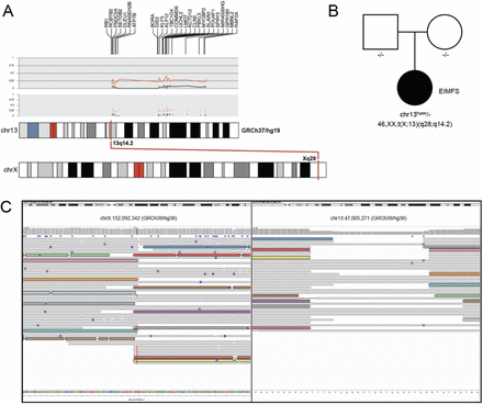 Figure 1: