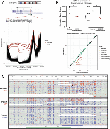 Figure 2: