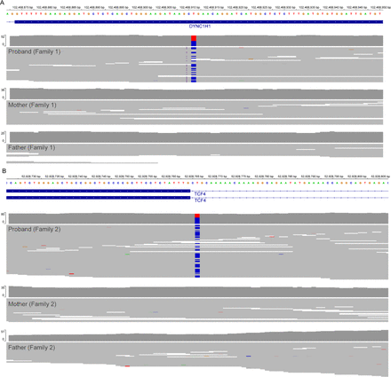 Figure 1: