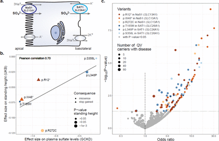 Figure 5: