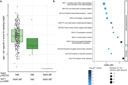 Figure 6: