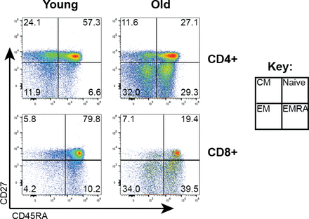 Supplementary Figure 2: