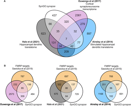 Supplementary Figure 1.