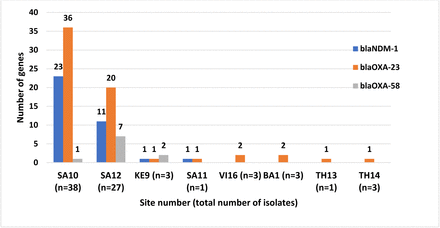 Figure 6.