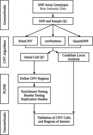 Fig 1.