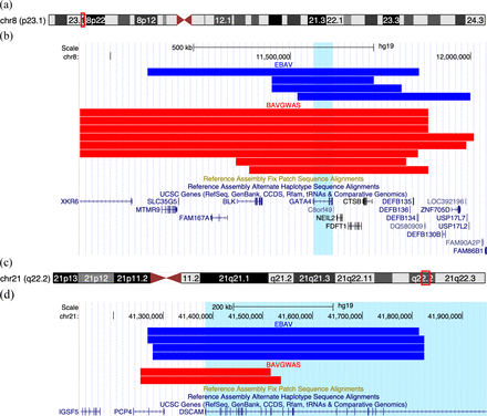 Fig 2.