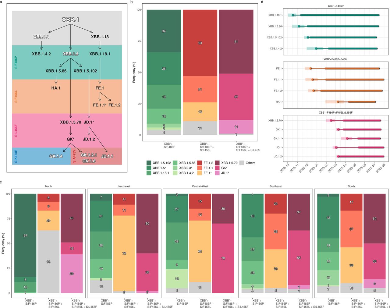 Convergent evolution of SARS-CoV-2 Omicron subvariants leading to the  emergence of BQ.1.1 variant